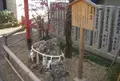 八坂神社の写真_40218