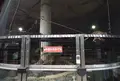 八木山動物公園フジサキの杜の写真_44041