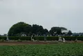 磯崎駅の写真_44265