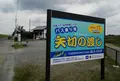 矢切の渡しの写真_45613