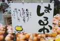 SAISAICAFEの写真_48857