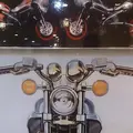 菊間町浜２７９５の写真_52377