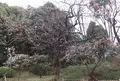 有栖川宮記念公園の写真_62900