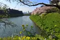 イギリス大使館の写真_68324