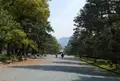 京都御苑の写真_71499