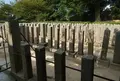 桜山神社の写真_89571