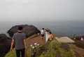 元乃隅神社の写真_89655
