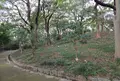 茶臼山（天王寺公園）の写真_94792