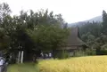 明善寺の写真_95227