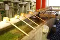 石清水八幡宮の写真_99305