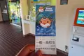 浅虫水族館の写真_131036