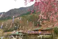 グリーンエコー笠形の写真_148402