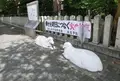 泉大津市の写真_149011