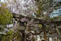 宗像神社の写真_173822