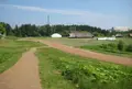 三内丸山遺跡の写真_191177