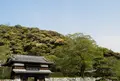 佐伯の写真_194934