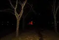 八鶴湖公園の写真_218898