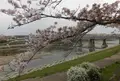 美嚢川の写真_229863
