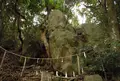 恵曇神社の写真_251959
