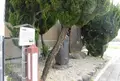 大津宿本陣跡の写真_270449
