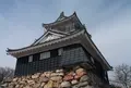浜松城の写真_786555