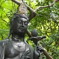 今熊野観音寺の写真_10016