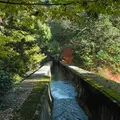 南禅寺の写真_10042