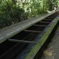 南禅寺の写真_10043
