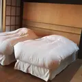 源泉と離れのお宿・月の写真_10150