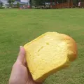 あんずのしっぽの写真_10324