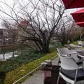 京都国立近代美術館の写真_104050