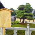 金戒光明寺の写真_104126
