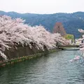 岡崎疏水の写真_104144