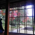 無鄰菴庭園の写真_104147