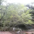 上高地の写真_104184