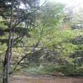 上高地の写真_104185