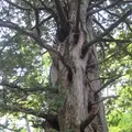 上高地の写真_104189