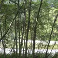 上高地の写真_104320