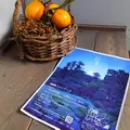 無鄰菴庭園の写真_104392