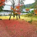 南禅寺の写真_104393