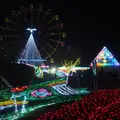 東京ドイツ村の写真_106001