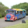 葛西臨海公園の写真_10658