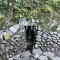 安房神社の写真_107001