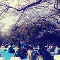 代々木公園の写真_109372