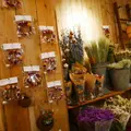 [閉店]mumokuteki cefe&foods 三条店の写真_109560