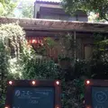 井の頭恩賜公園の写真_1101