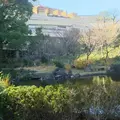 テレビ朝日本社の写真_110303