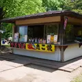 岩槻城址公園の写真_1104