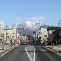 南照寺の写真_11051