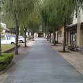 中野陣屋・県庁記念館の写真_11080